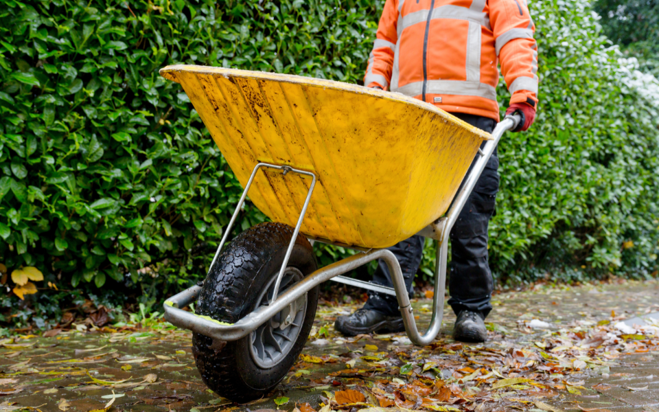 Afbeelding van verhaal Ionel: ‘Hier voel ik me gewaardeerd en bouw ik aan mijn toekomst’