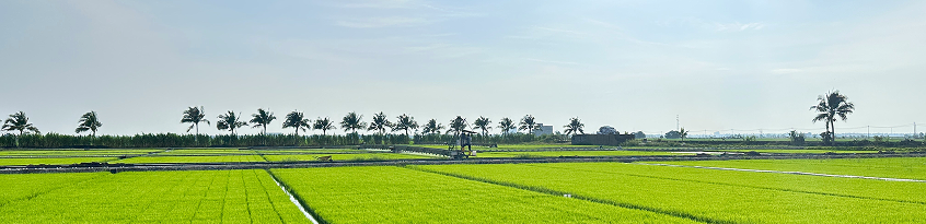 Job Alert Afbeelding