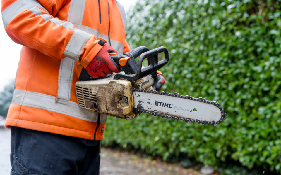 Afbeelding van verhaal Groenvoorziening en internationale medewerkers: Zo helpen ze jouw bedrijf vooruit.