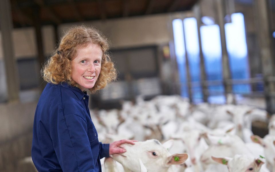 Afbeelding van verhaal Geitenmelker Evelien Moren wordt altijd vrolijk van ‘haar’ geiten