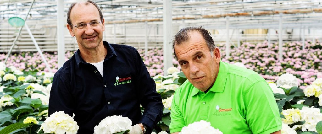 Afbeelding van verhaal Gommers Hortensia: goede, gemotiveerde medewerkers vinden valt niet mee