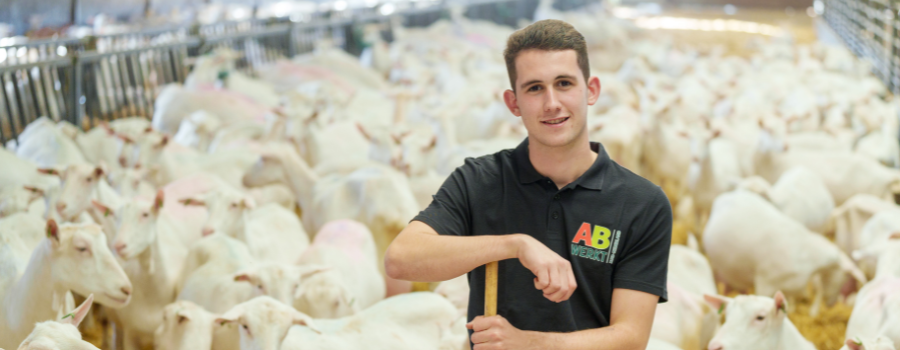 Afbeelding van verhaal Extra inkomsten voor jouw maatschap: makkelijk en flexibel!