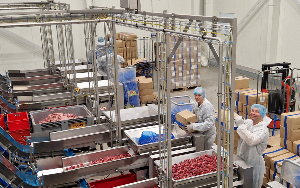 Afbeelding van verhaal Frost Service Venlo: “Zonder productiemedewerkers geen bestaansrecht.”