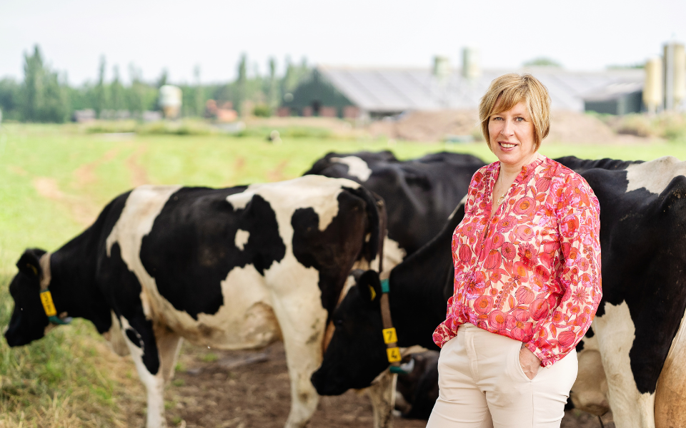 Afbeelding van verhaal ‘Strategie voor de toekomst maakt AB Werkt wendbaarder’