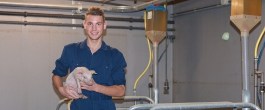 Afbeelding van verhaal Een passende opleiding in de varkenshouderij kiezen