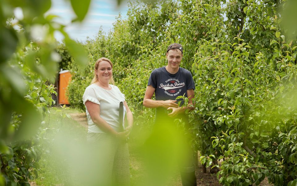 Afbeelding van verhaal Fruitbedrijf W. Notermans plukt de voordelen van werken met internationale werknemers