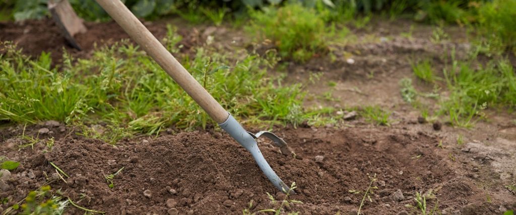 Afbeelding van verhaal In gesprek met boer Reint (31) over het bestrijden van onkruid op de akkers