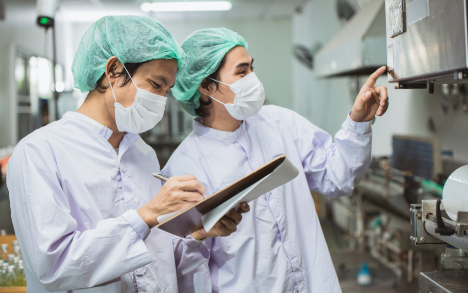 Afbeelding van verhaal Het belang van arbeidsmigranten in de voedingsindustrie