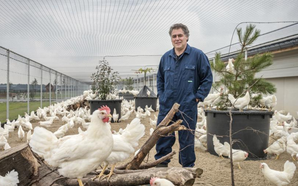 Afbeelding van verhaal Kipster robotisering: “van palletstapelaar naar procesoperator”