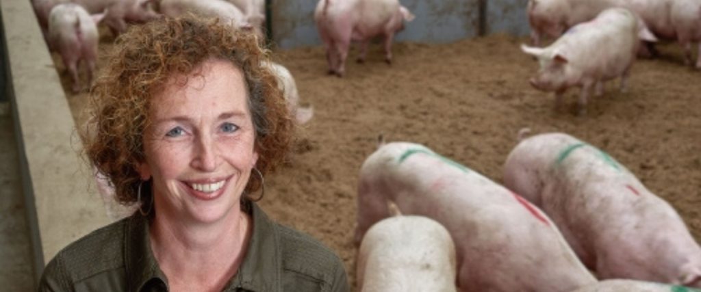 Afbeelding van verhaal Anja Derks, accountmanager dierlijk bij AB Werkt