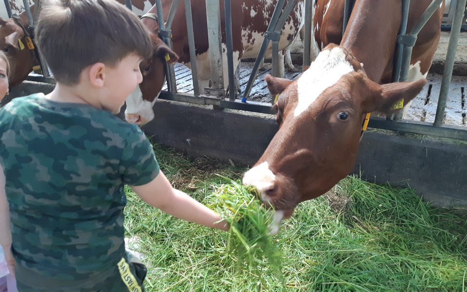 Afbeelding van verhaal AB Werkt ondersteunt Boerderij Educatie Limburg