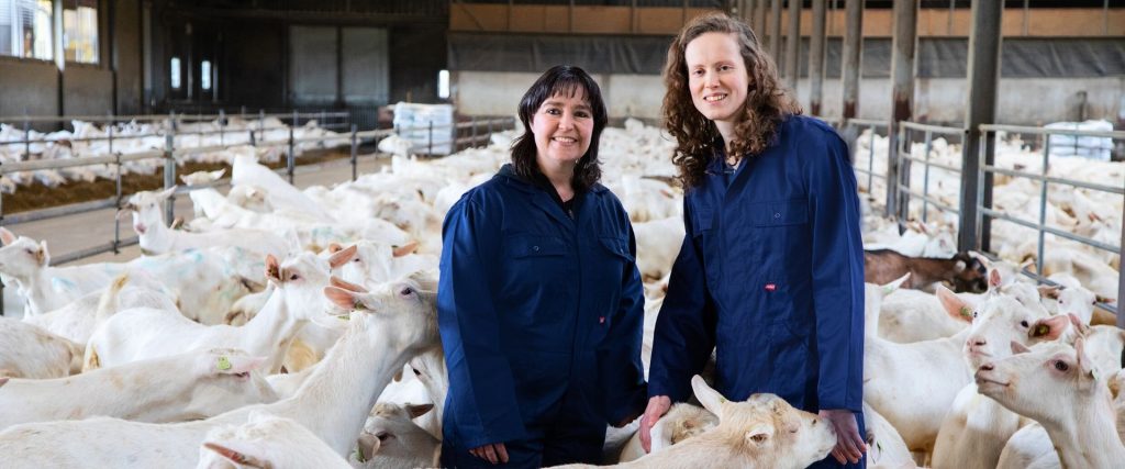 Afbeelding van verhaal Geboren boerinnen op de Heidebloem