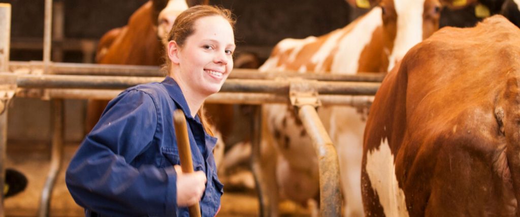 Afbeelding van verhaal Jessie Hamelijnck: bedrijfsverzorger