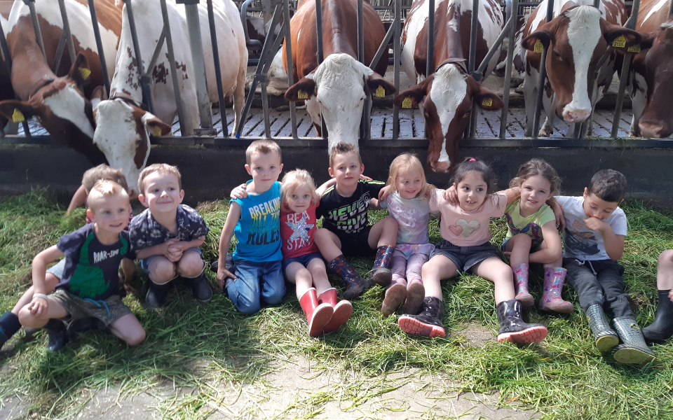 Afbeelding van verhaal Kalfjes aaien en kwalitatief voedsel: een klasse(n)bezoek bij melkveehouderij ’t Boterik