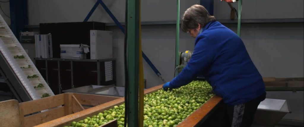 Afbeelding van verhaal Akkerbouwers Klompe en Van der Linde hebben meer werk in de winter dan in de zomer