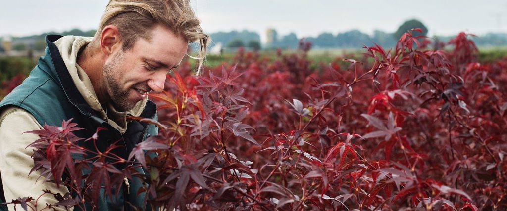 Afbeelding van verhaal “In de boomkwekerij heb je écht eer van je werk”