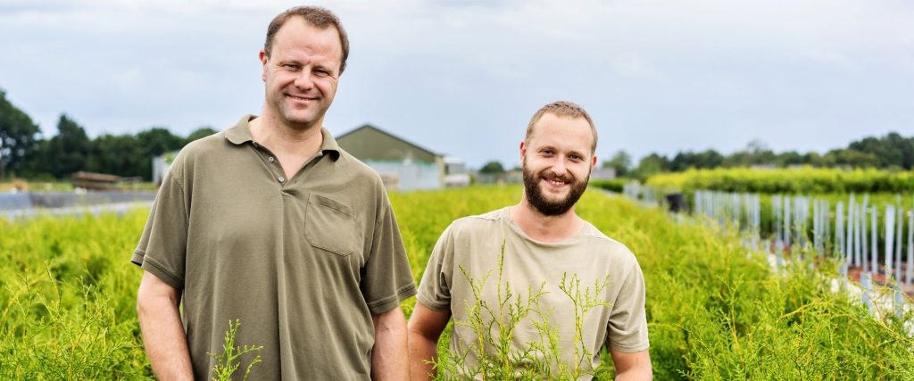Afbeelding van verhaal Frans Muysers boomkwekerijen: van niets ‘iets’ maken is heel mooi