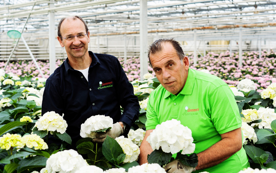 Afbeelding van verhaal Tips voor tevreden internationale werknemers op jouw bedrijf